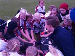 Lugi team cohesion1